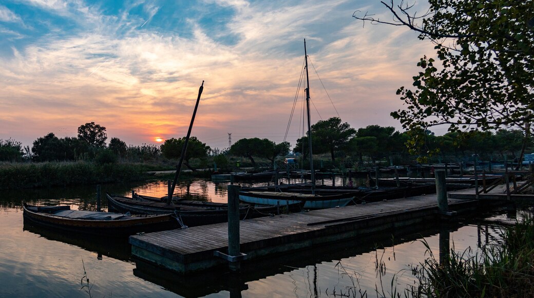 Atardecer en el puerto de Catarroja (Valencia-Spain)