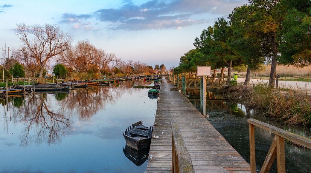 Albufera nature reserve with wooden fishing boats and pier in Catarroja