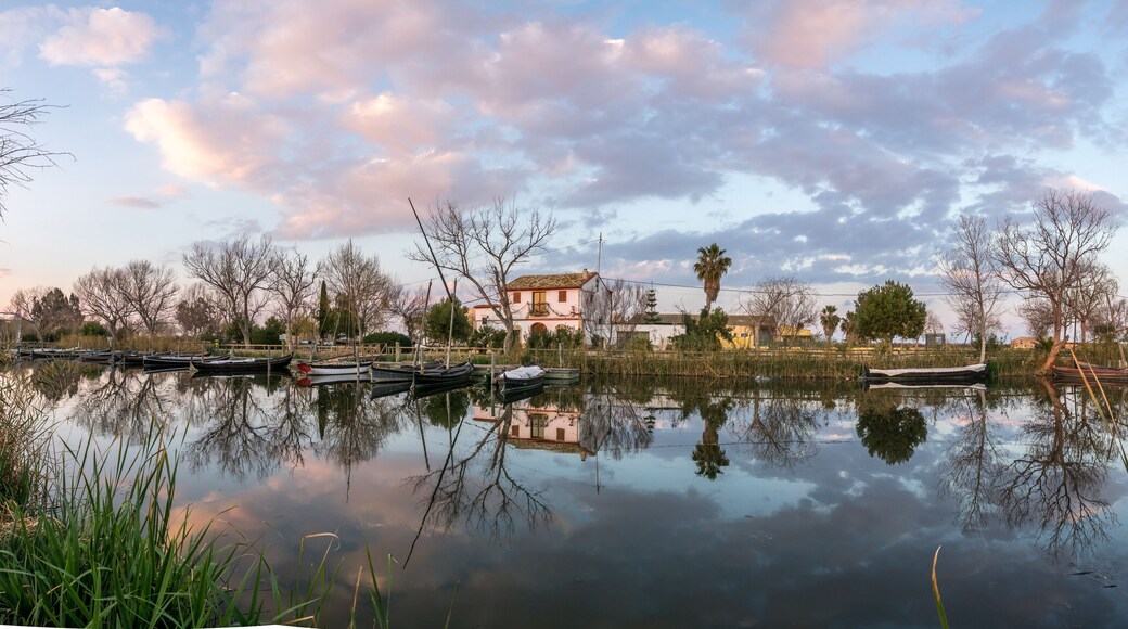 Albufera nature reserve in Catarroja Valencia Spain gigapan harbor of the main irrigation ditch that floods the rice fields old traditional wooden boats. Latin sailing ships