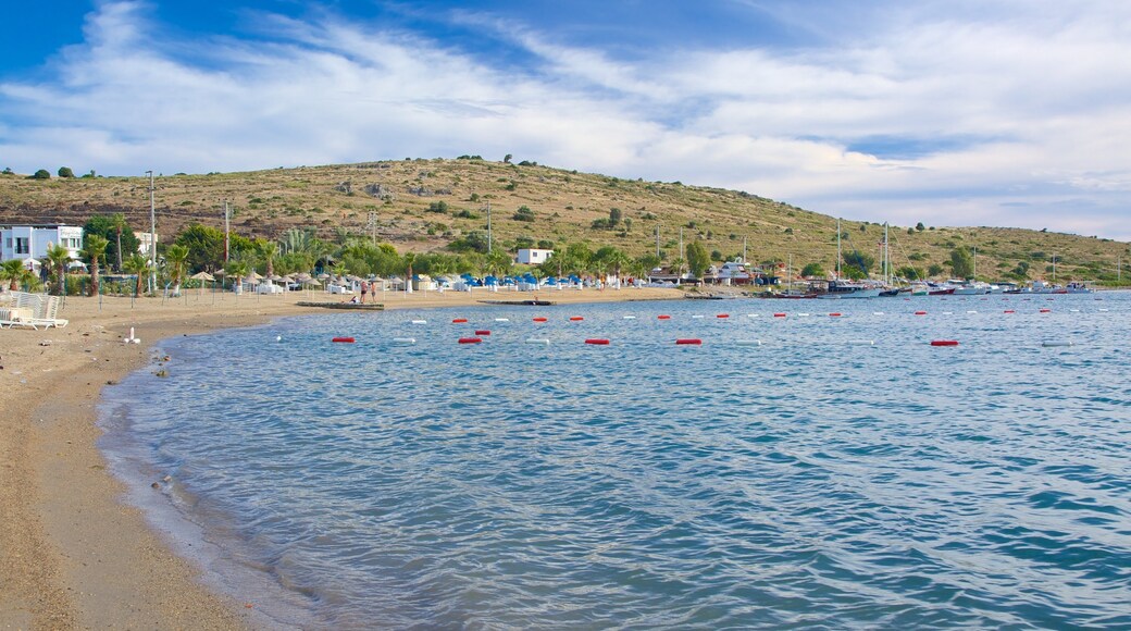Bardakci Beach showing a sandy beach and general coastal views