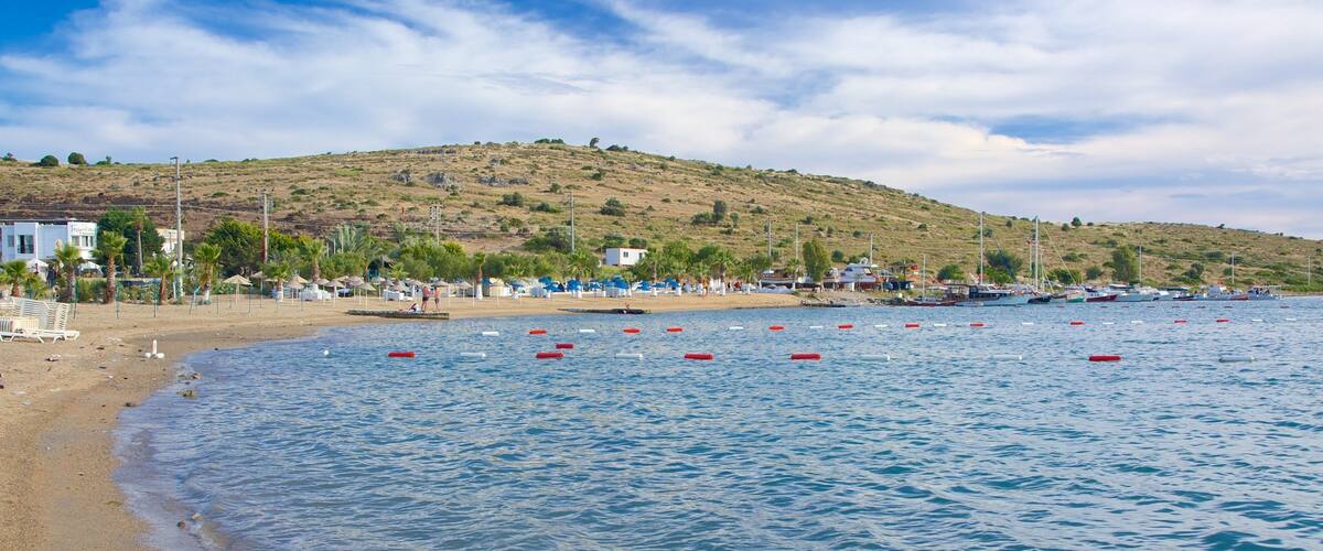 Bardakci Beach showing a sandy beach and general coastal views