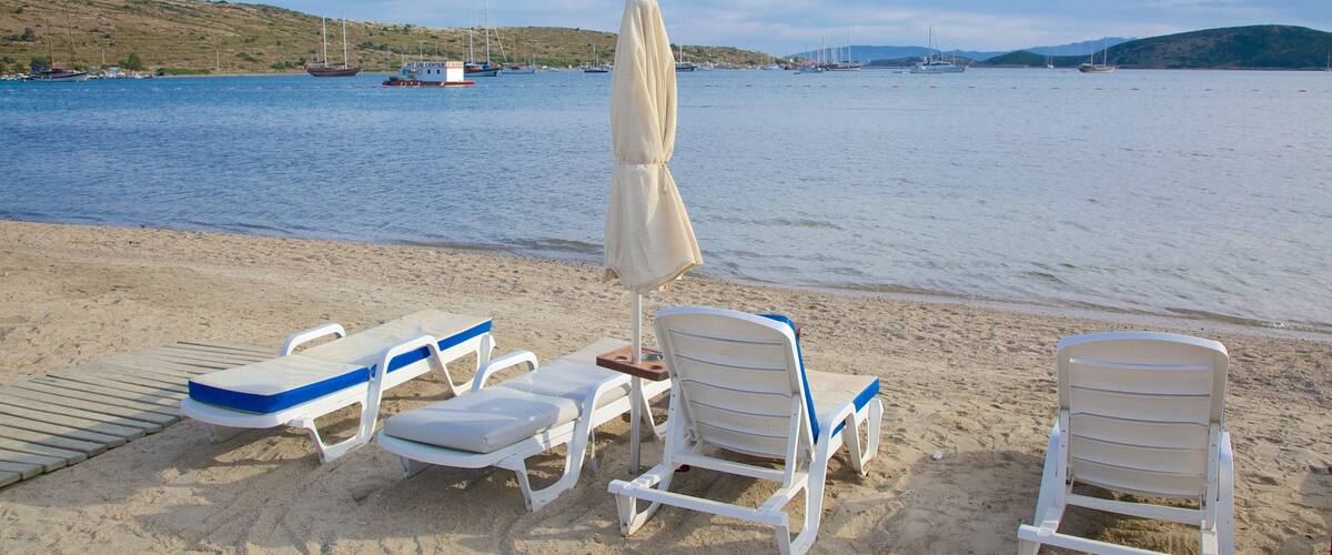 Bardakci Beach which includes a sandy beach