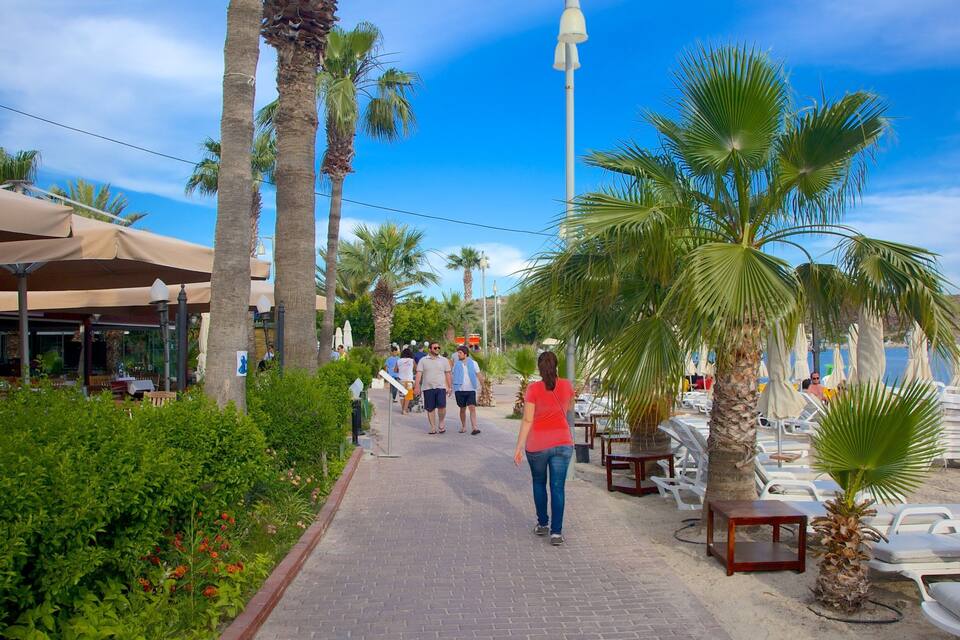 Un passeig marítim amb palmeres, cadiretes de platja i ombrel·les.