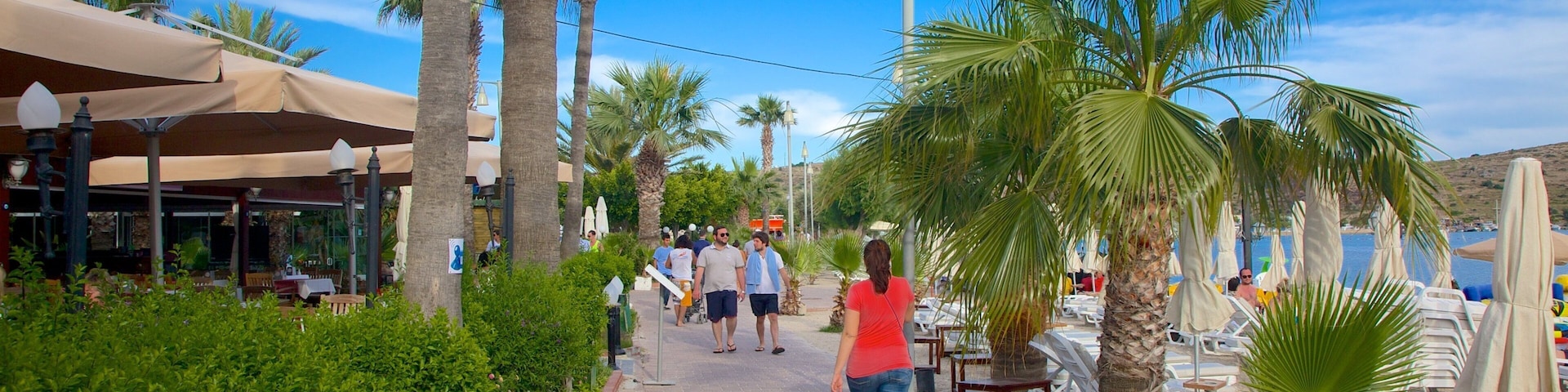 Bardakci Beach as well as an individual femail