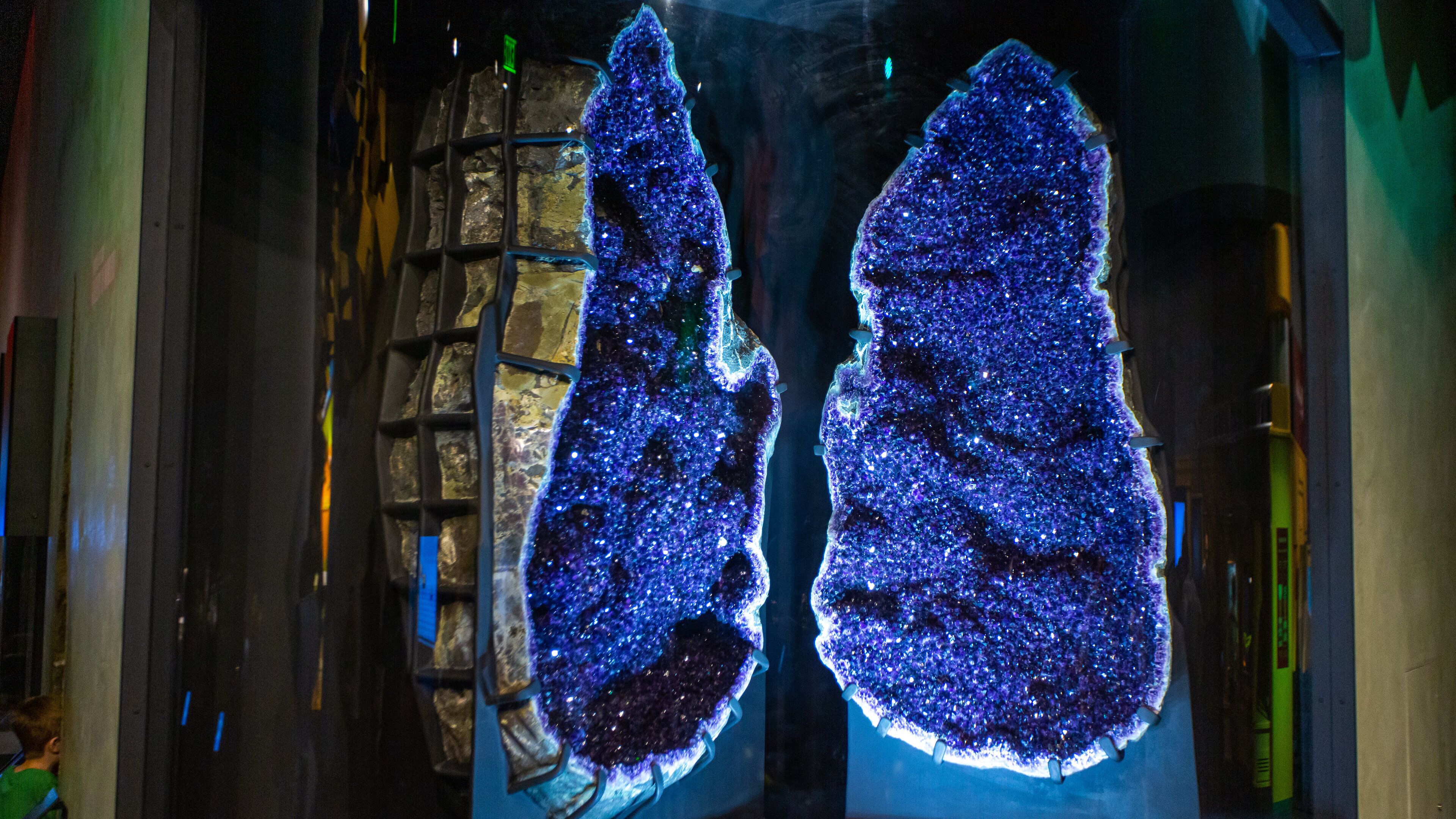 Perot Museum of Nature and Science