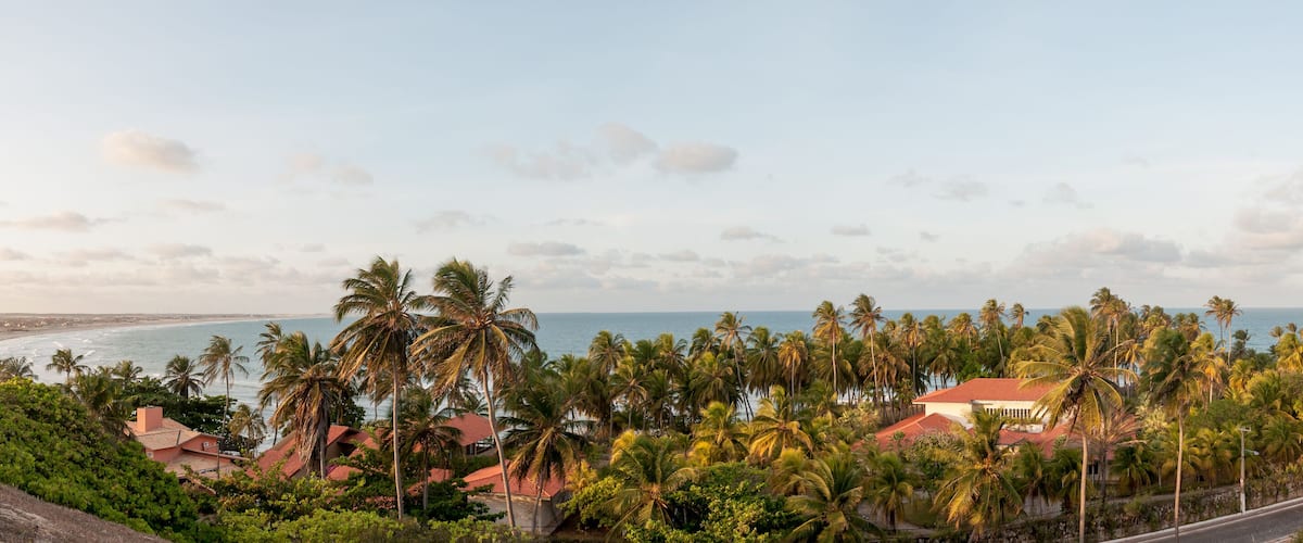 A coastal landscape with palm trees, a beach, and houses with red roofs.