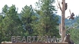 A wooden sign with the word "BEARIZONA" and bears carved into it.