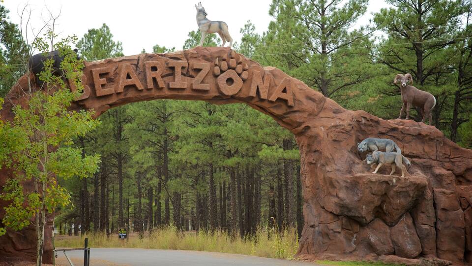 A large rock arch with the words "DEARIZONA" and a wolf statue on top.