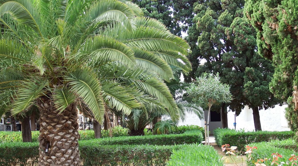 Cementeri Municipal Nou (Paiporta)