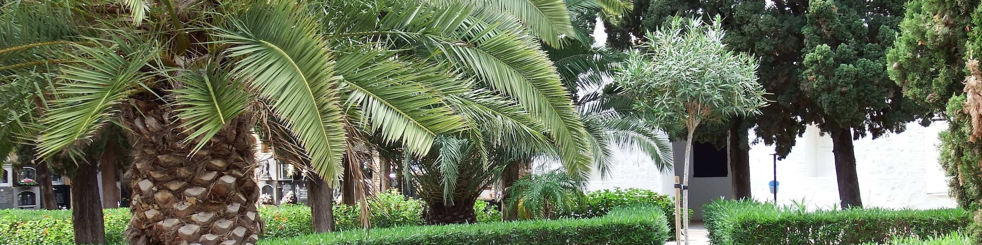 Cementeri Municipal Nou (Paiporta)