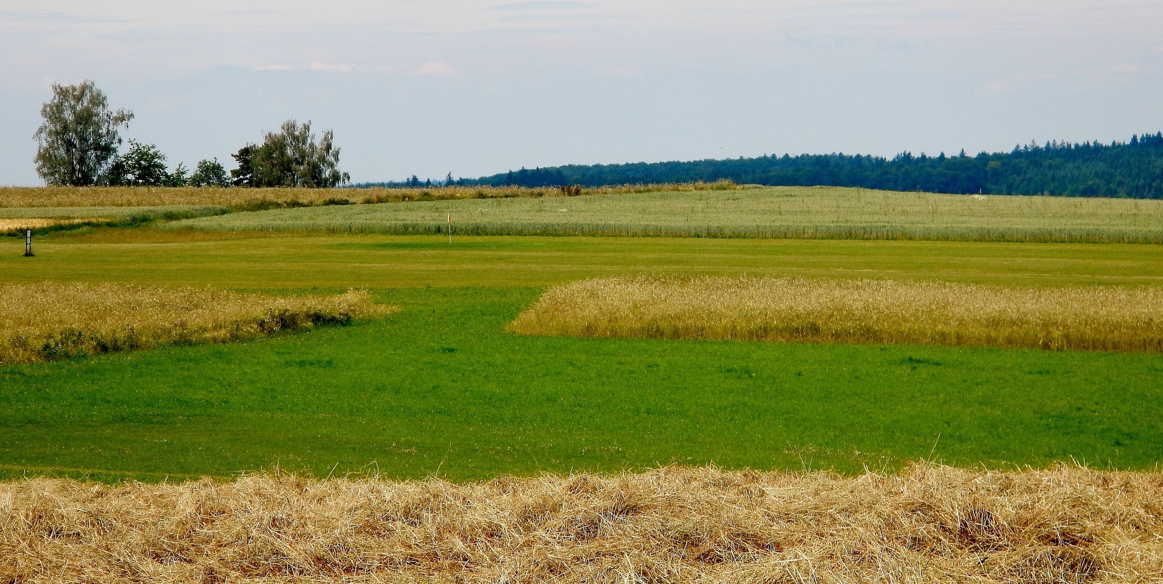 SwinGolf in Renningen