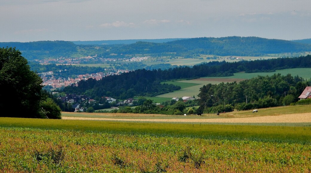 Blick Richtung Weil der Stadt