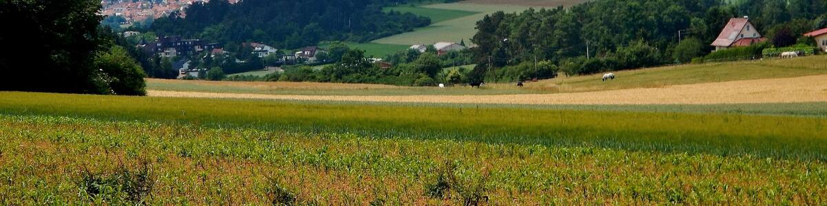 Un paysage rural avec des champs, un village et des collines douces en arrière-plan.