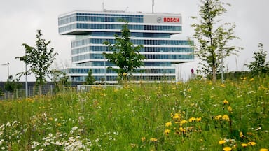 A modern building with a 'BOSCH' sign, surrounded by a field of wildflowers.