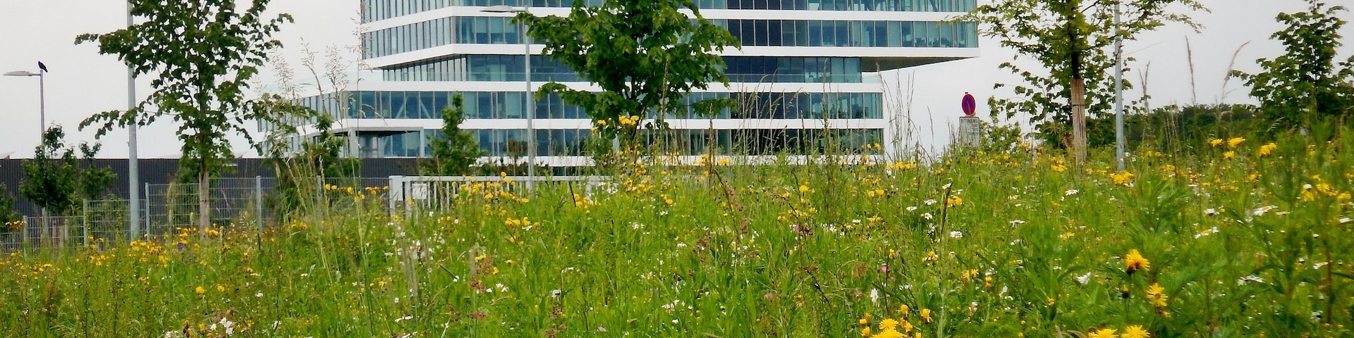 Zentrum für Forschung und Vorausentwicklung von Bosch in Renningen