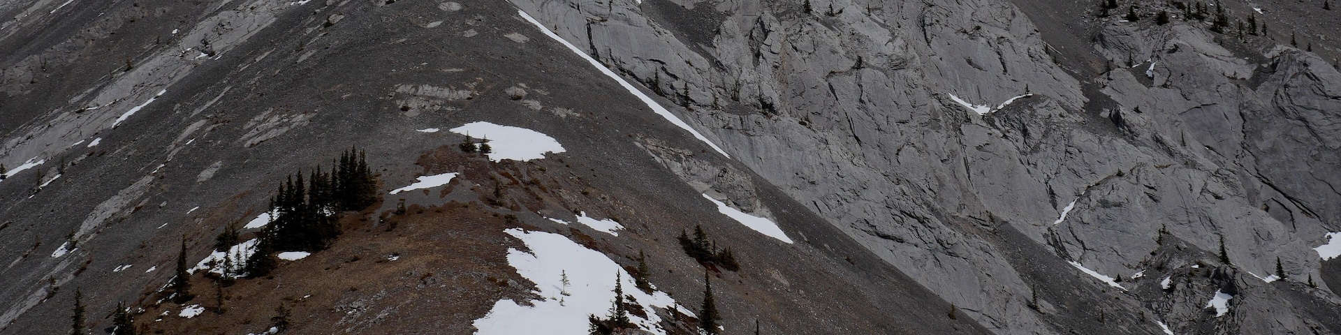 Wild Horse Ridge near Sundre