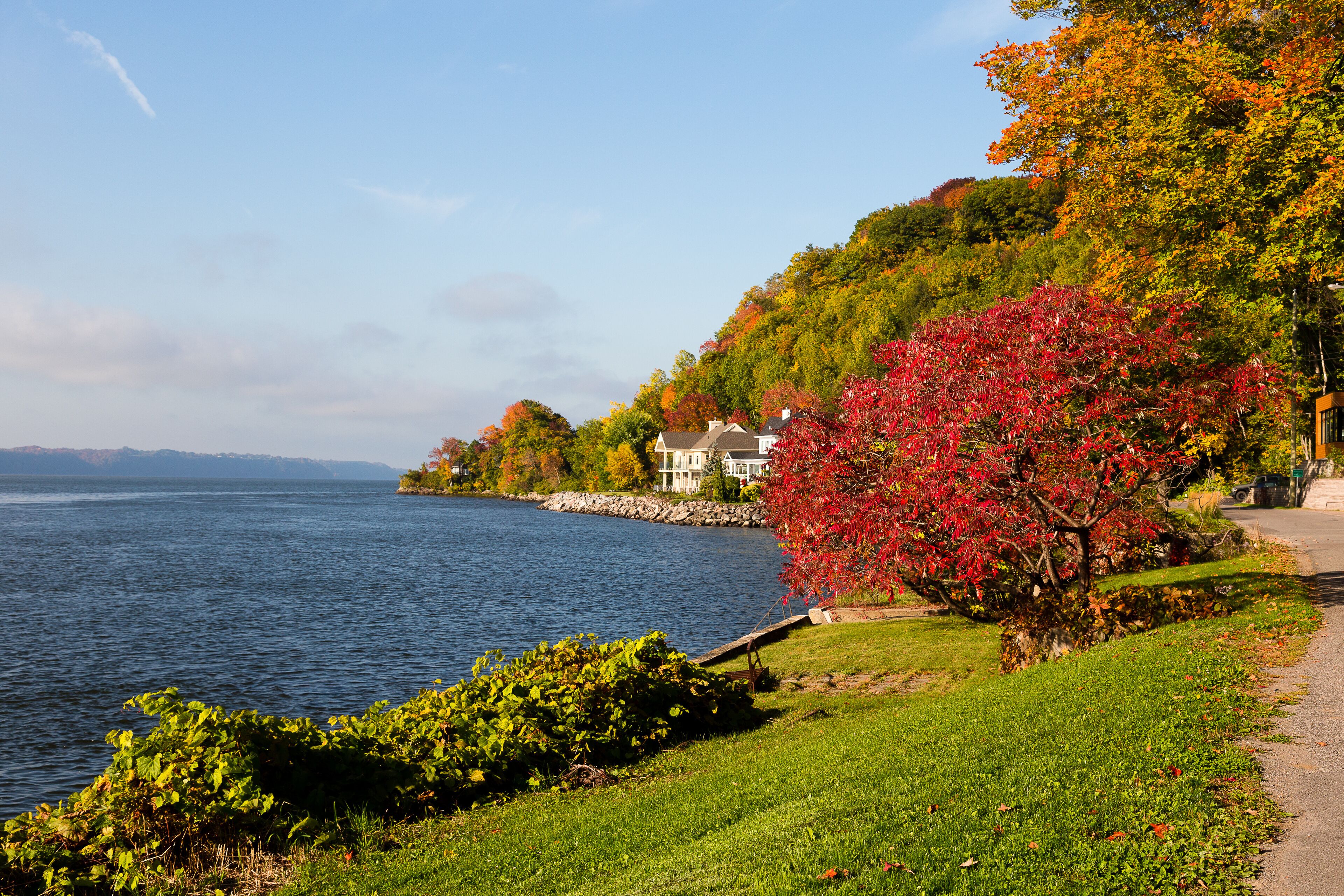 Beautiful Fall foliage and houses on street along the St. Lawrence River seen during a sunny morning, Saint-Augustin-de-Desmaures, Quebec, Canada