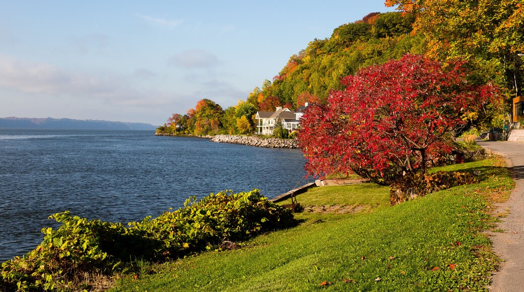 Beautiful Fall foliage and houses on street along the St. Lawrence River seen during a sunny morning, Saint-Augustin-de-Desmaures, Quebec, Canada