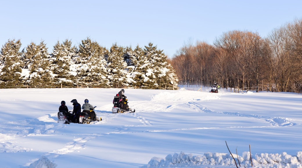 Group of people on snowmobiles on track covered in pristine fresh snow seen during a sunny winter afternoon, Saint-Augustin-de-Desmaures, Quebec, Canada