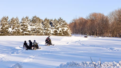 Group of people on snowmobiles on track covered in pristine fresh snow seen during a sunny winter afternoon, Saint-Augustin-de-Desmaures, Quebec, Canada