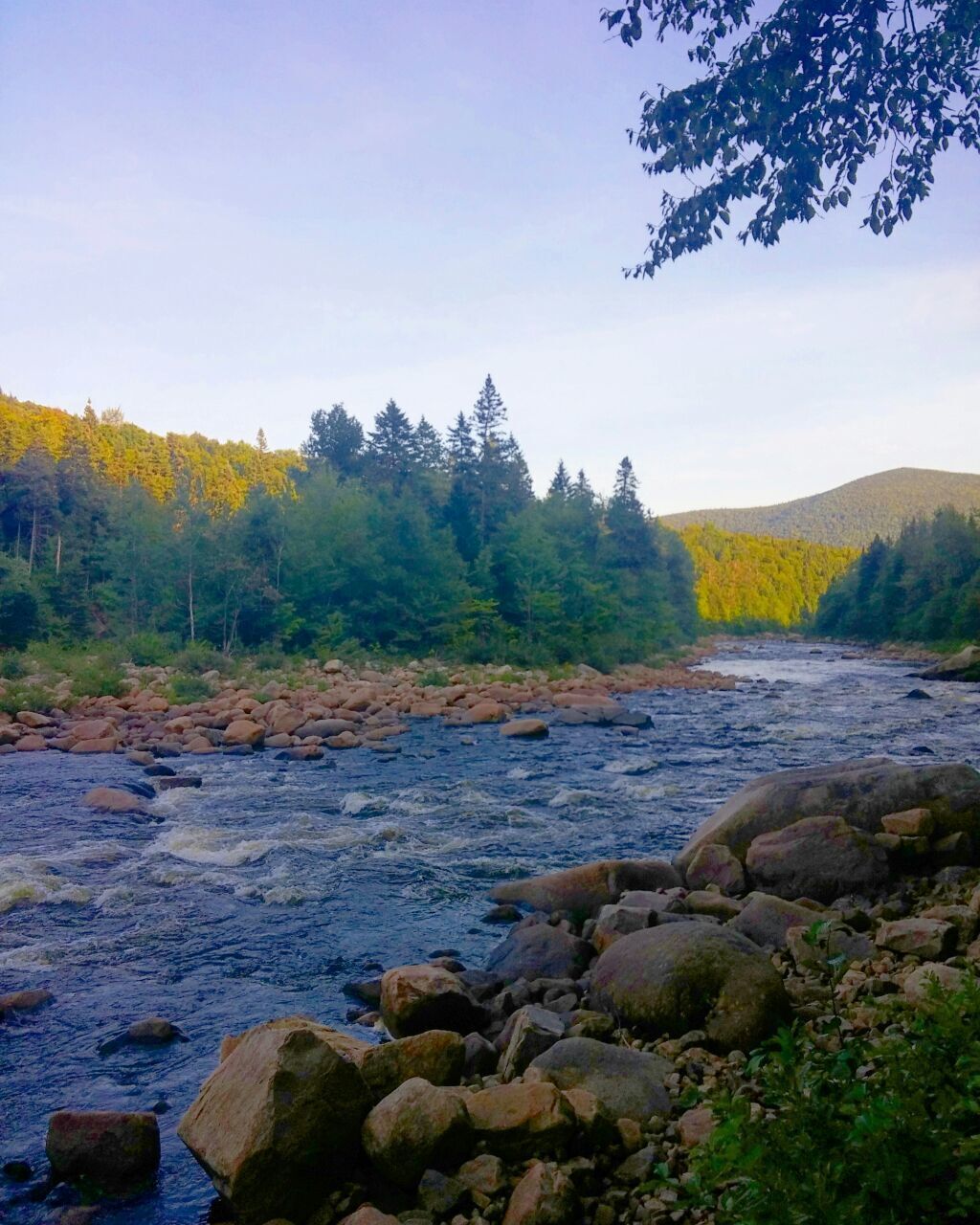 This place is awesome. Just next to the river.#lifeatexpedia