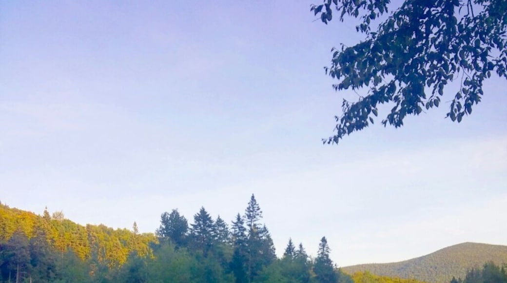 This place is awesome. Just next to the river.#lifeatexpedia