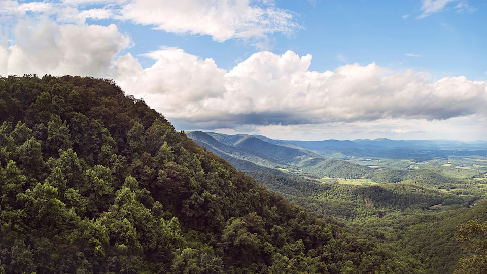 A mountainous landscape with dense forests and a valley.