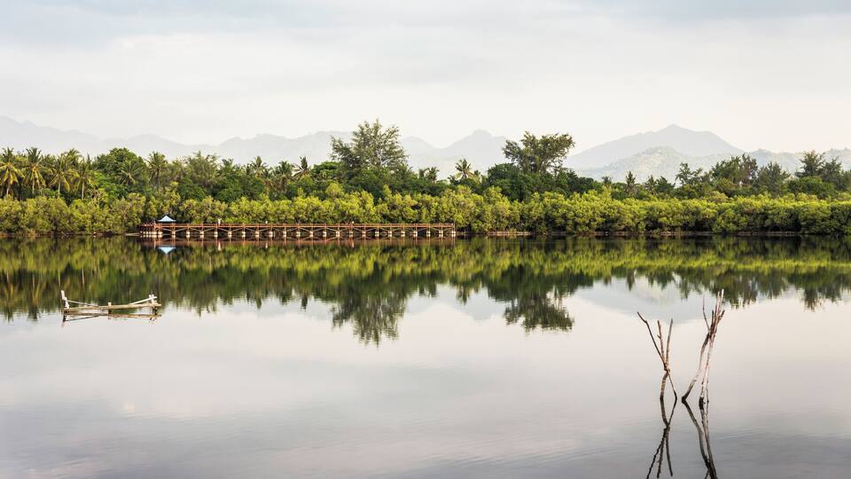 A calm lake with a wooden bridge, a small hut, and a reflection of trees and mountains in the water.