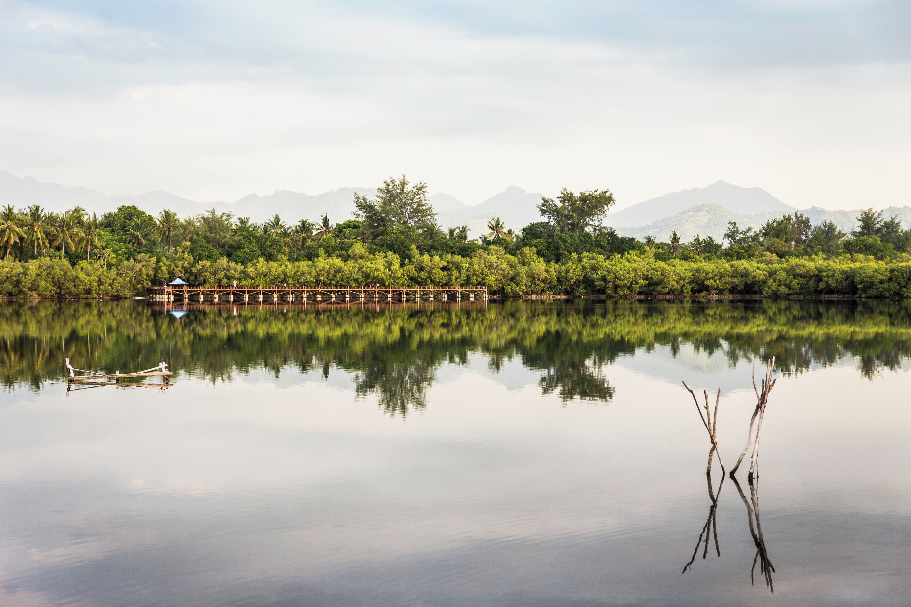 A calm lake with a wooden bridge, a small hut, and a reflection of trees and mountains in the water.