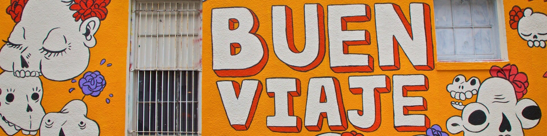 Mexic-Arte Museum showing outdoor art