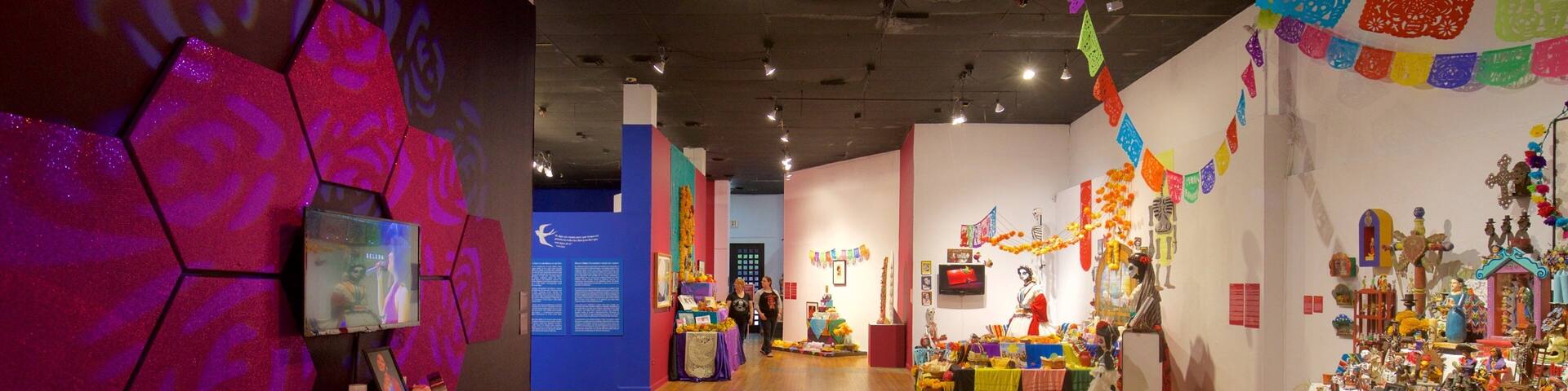 Mexic Arte Museum which includes interior views