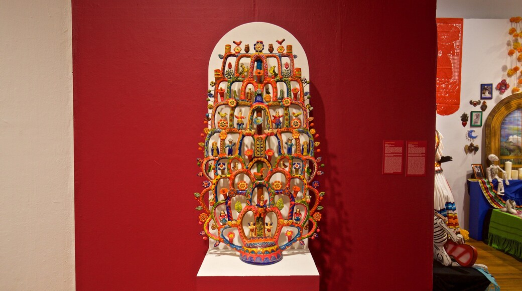Mexic Arte Museum mostrando arte e vistas internas