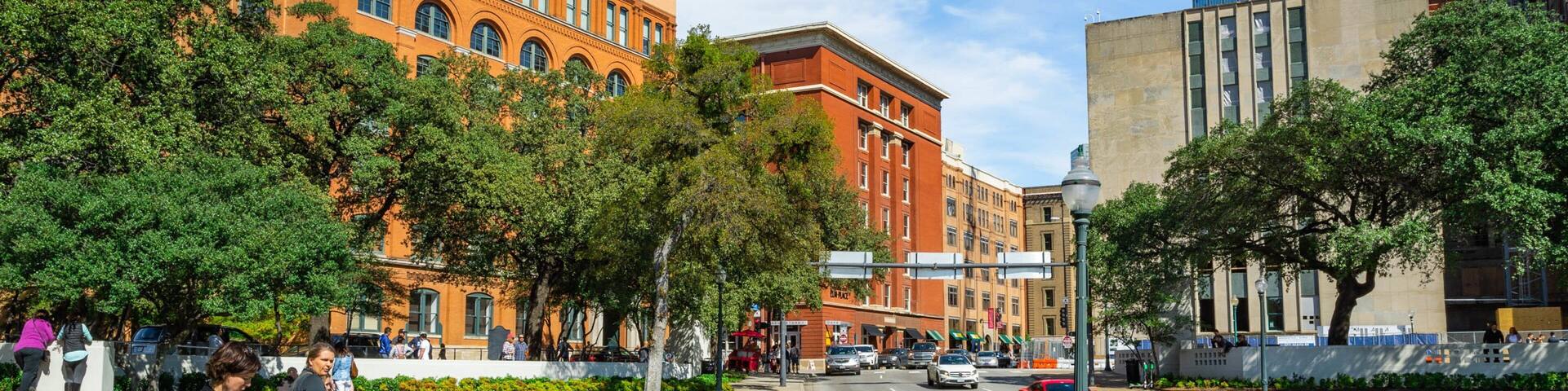 Dealey Plaza which includes a garden as well as a couple