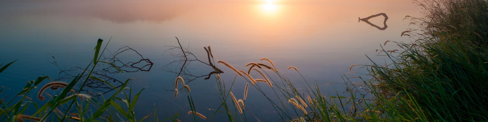 Sunrise at Lake Samsonvale, Queensland