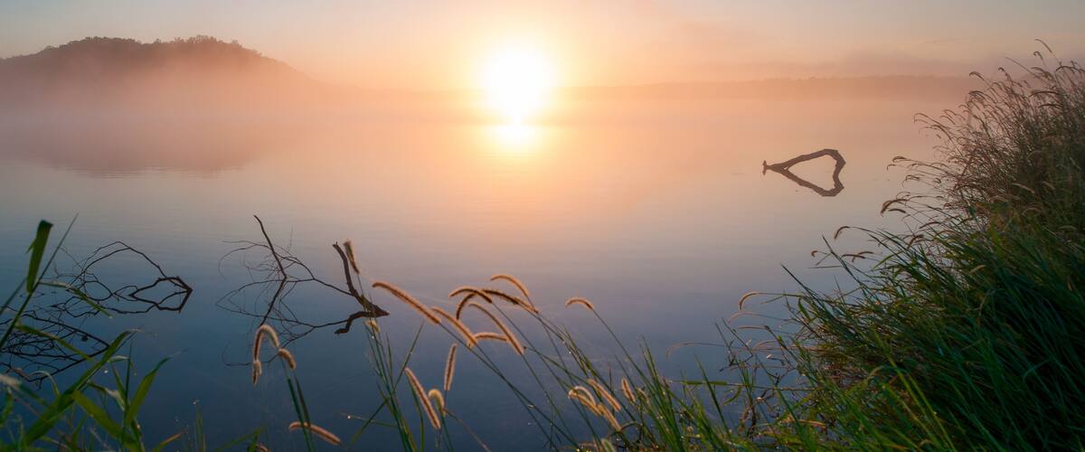 A sunrise over a calm lake with grass in the foreground and a misty hill in the background.