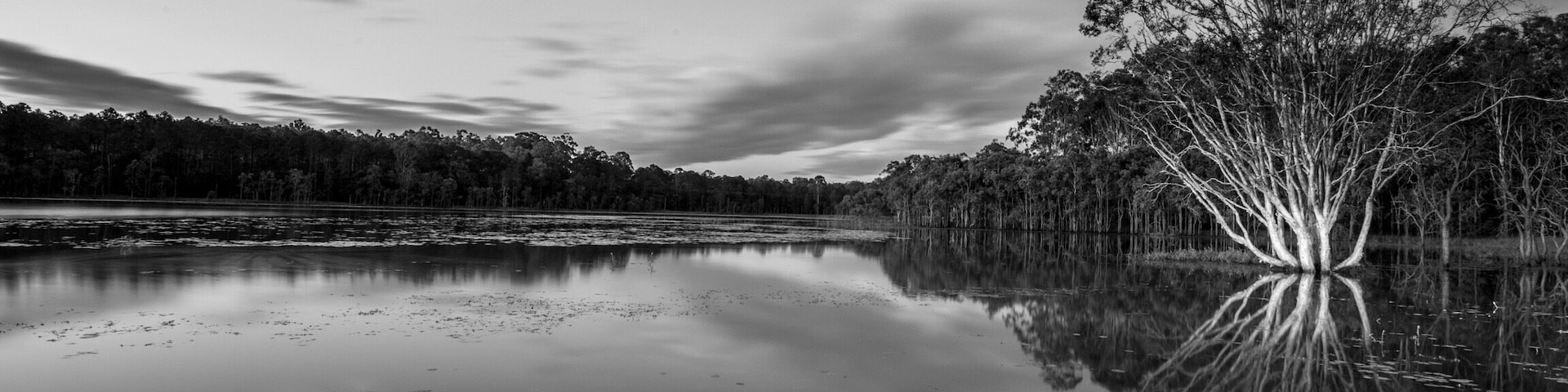 A great spot to water ski, kayak or catch the sunset. This lake has many childhood memories as I ventured here every afternoon for the family dog to have a paddle. It's now my "go to" spot after work when I want to photograph a sunset.
#queensland #australia
