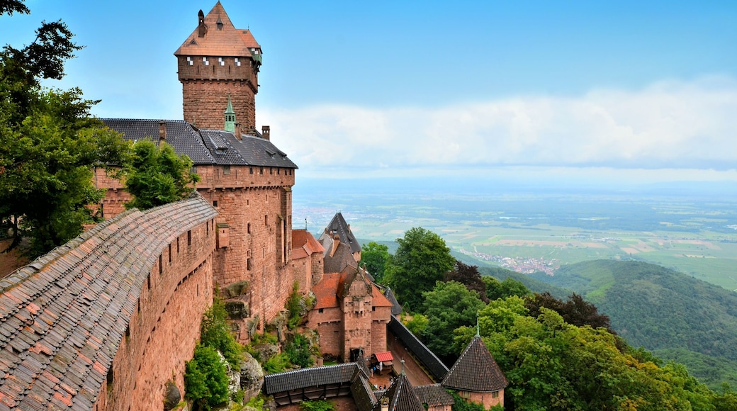 Overlooking the medieval castle of Haut Koenigsbourg, Alsace, France