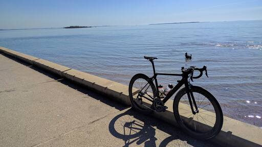 Perfect day for a ride around Wellington Point. Great for a barbecues with plenty of shady areas for relaxing.