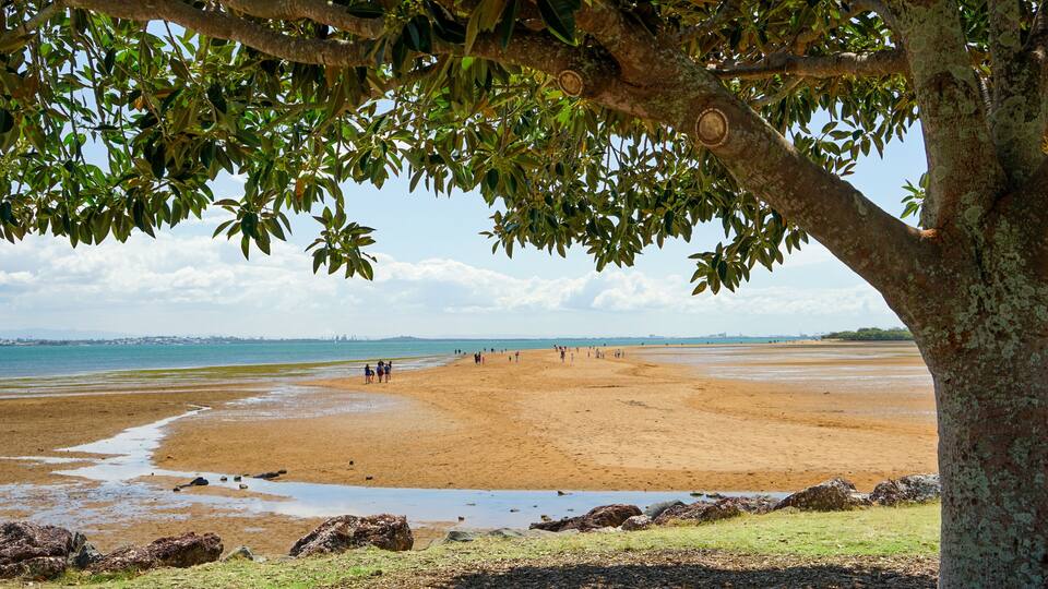 A sandy beach with people walking, a tree in the foreground, and a distant shoreline with buildings.
