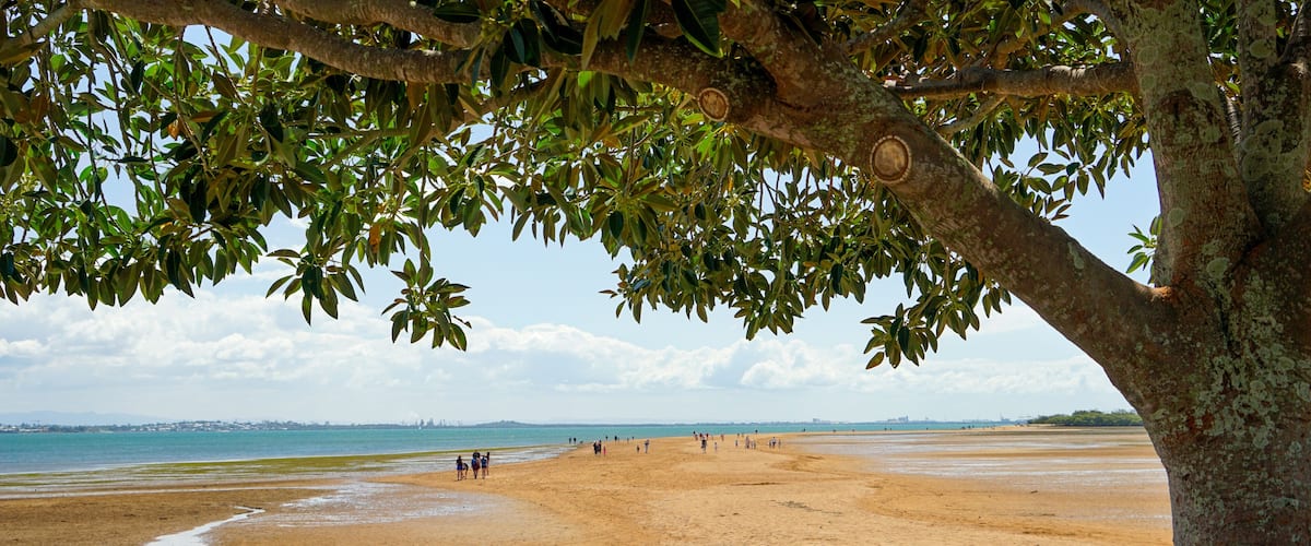 A sandy beach with people walking, a tree in the foreground, and a distant shoreline with buildings.