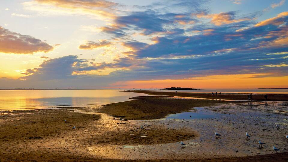 A sunset over a beach with birds and a distant island.