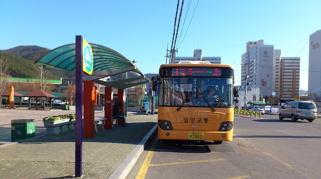 밀양시내버스 7302호 차량.
