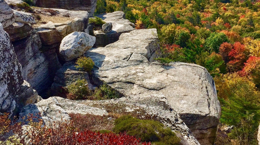 The most beautiful hike i ever did in Hudson Valley, NY