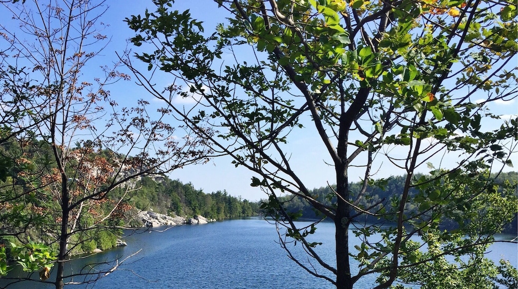 Welcome to the land of sky lakes. Minnewaska State Park hosts a few sky lakes: lakes that are reportedly filled with only rain water and no other source. The lakes are deep and beautiful, it's like scooping a piece of the sky and pouring them into the crevices of the mountain. At the park, you can go swimming, diving, and boating in the lakes. I was a bit disappointed that I hadn't come equipped with a swimsuit! #roadtrip #stateparks #hiking #nature #greatoutdoors