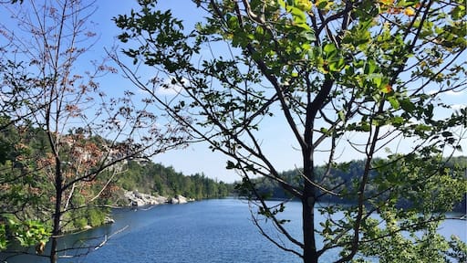 Welcome to the land of sky lakes. Minnewaska State Park hosts a few sky lakes: lakes that are reportedly filled with only rain water and no other source. The lakes are deep and beautiful, it's like scooping a piece of the sky and pouring them into the crevices of the mountain. At the park, you can go swimming, diving, and boating in the lakes. I was a bit disappointed that I hadn't come equipped with a swimsuit! #roadtrip #stateparks #hiking #nature #greatoutdoors