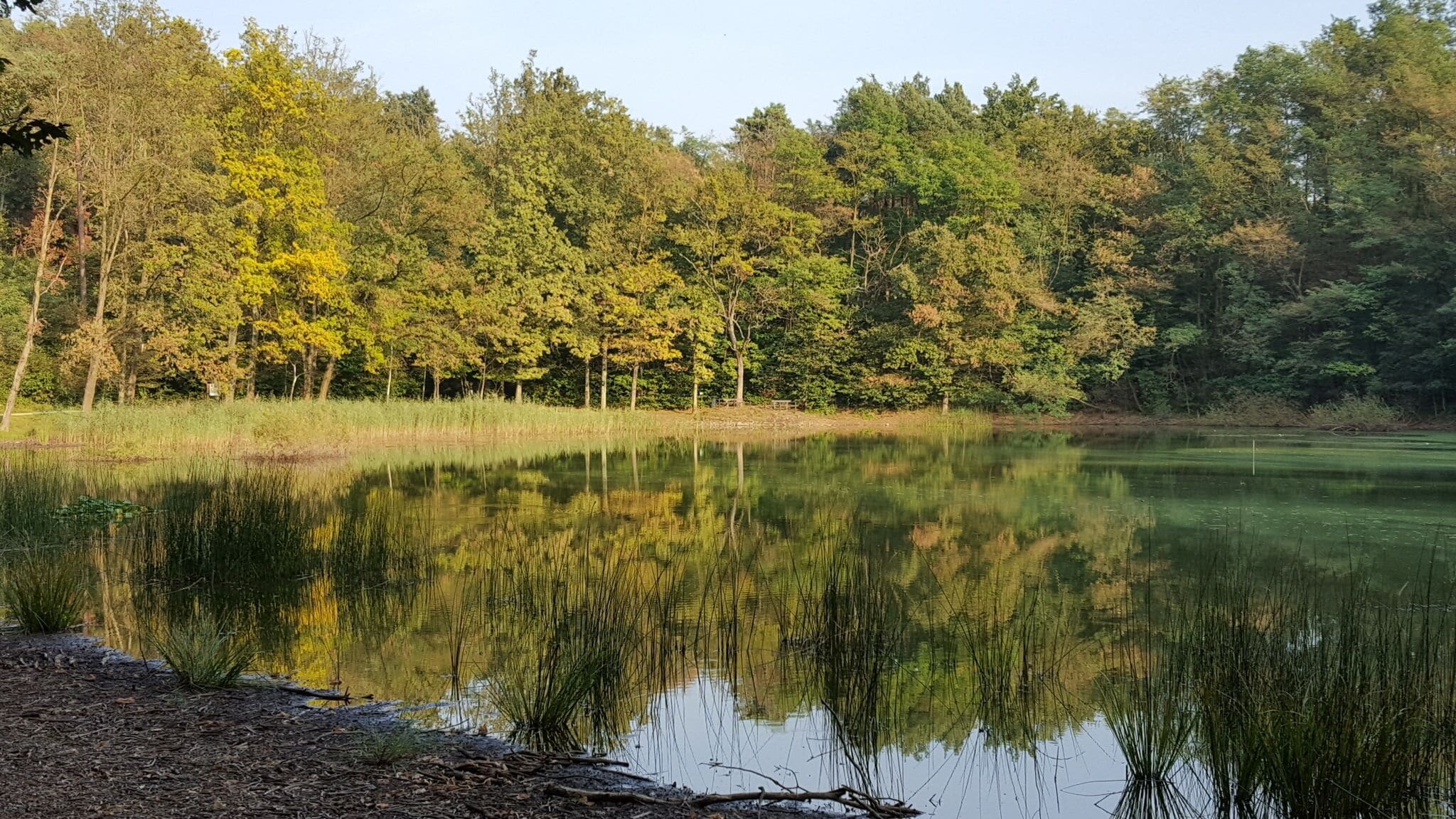 This is a photo of a monument which is part of cultural heritage of Italy. This monument participates in the contest Wiki Loves Monuments Italia 2016. See authorisations.