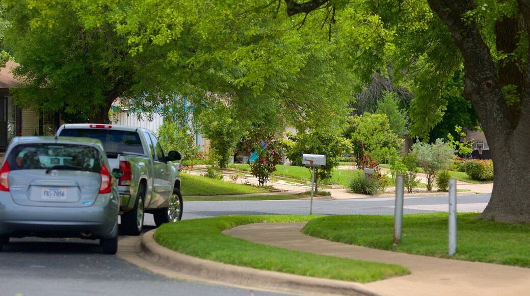 Franklin Park which includes street scenes and a house