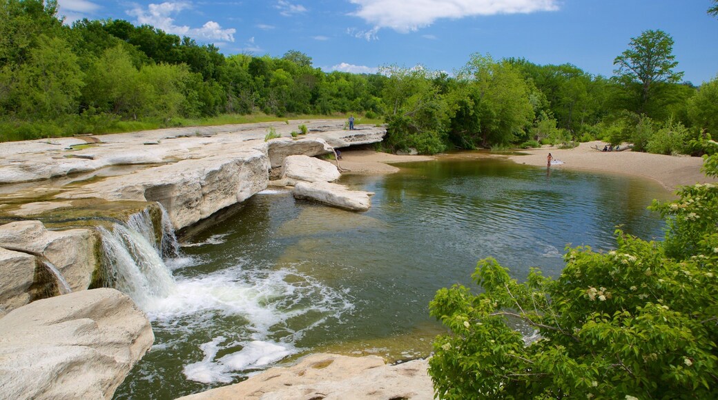 Franklin Park som inkluderer skoglandskap og innsjø