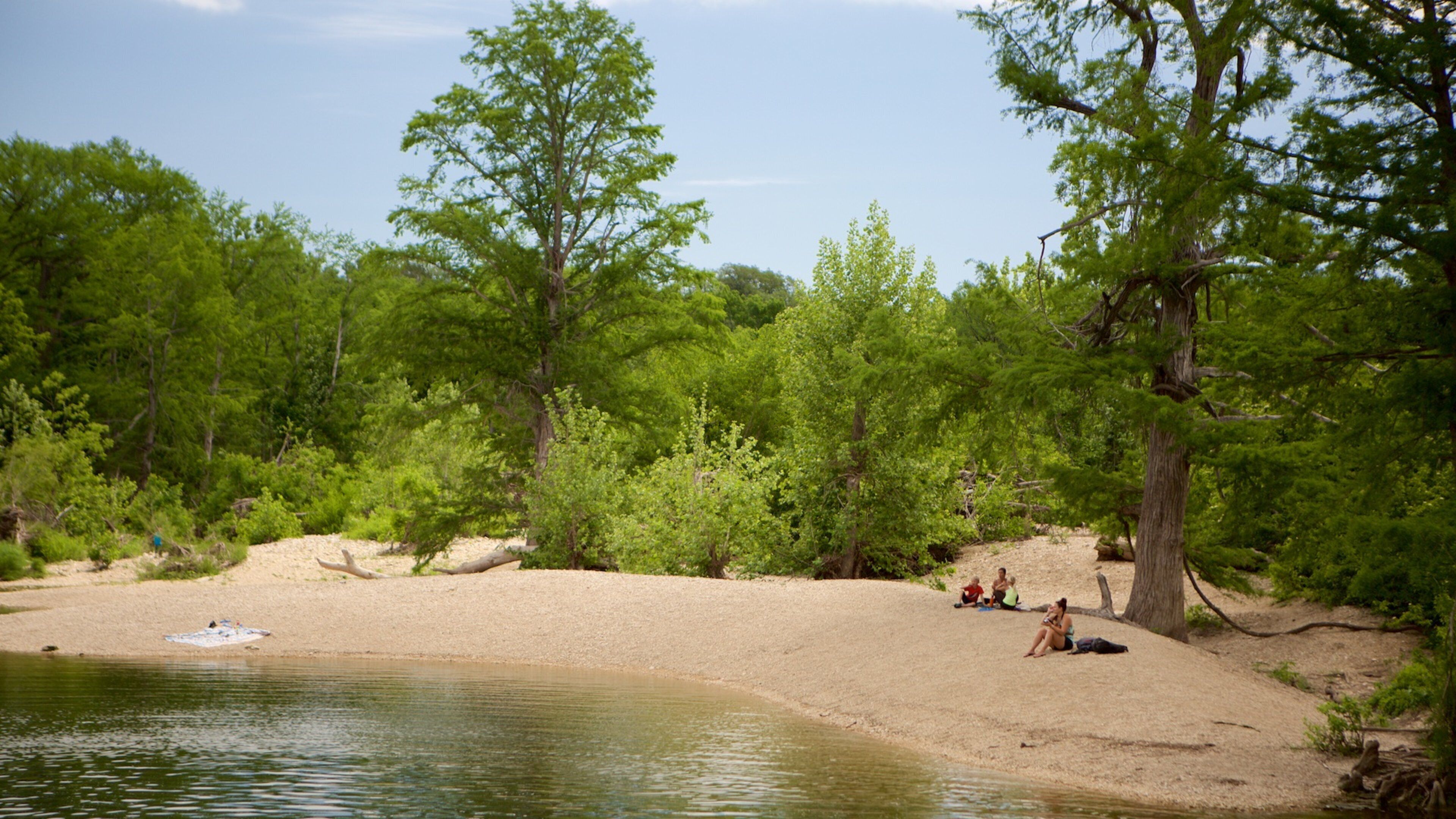 Franklin Park som visar en sjö eller ett vattenhål och skogslandskap