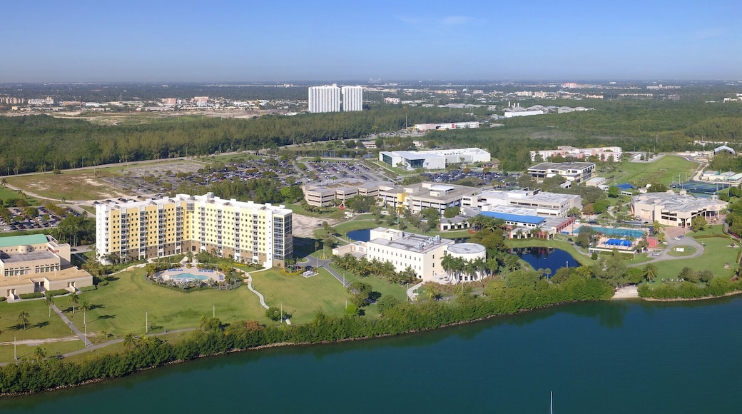 Universidad Internacional de Florida